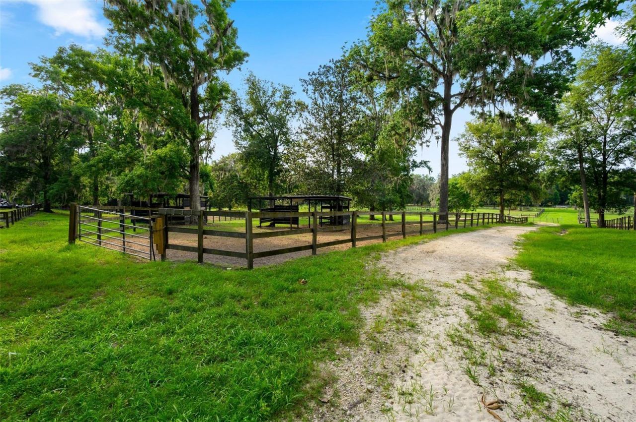 9809 NW 59th Terrace, Gainesville, FL 32653 Photo