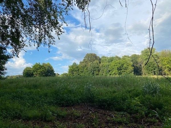 7874 Bill Moss Rd , White House, TN 37188