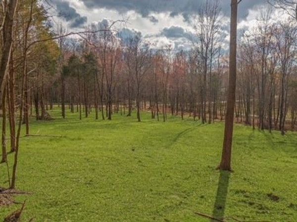 7888 Bill Moss Rd , White House, TN 37188