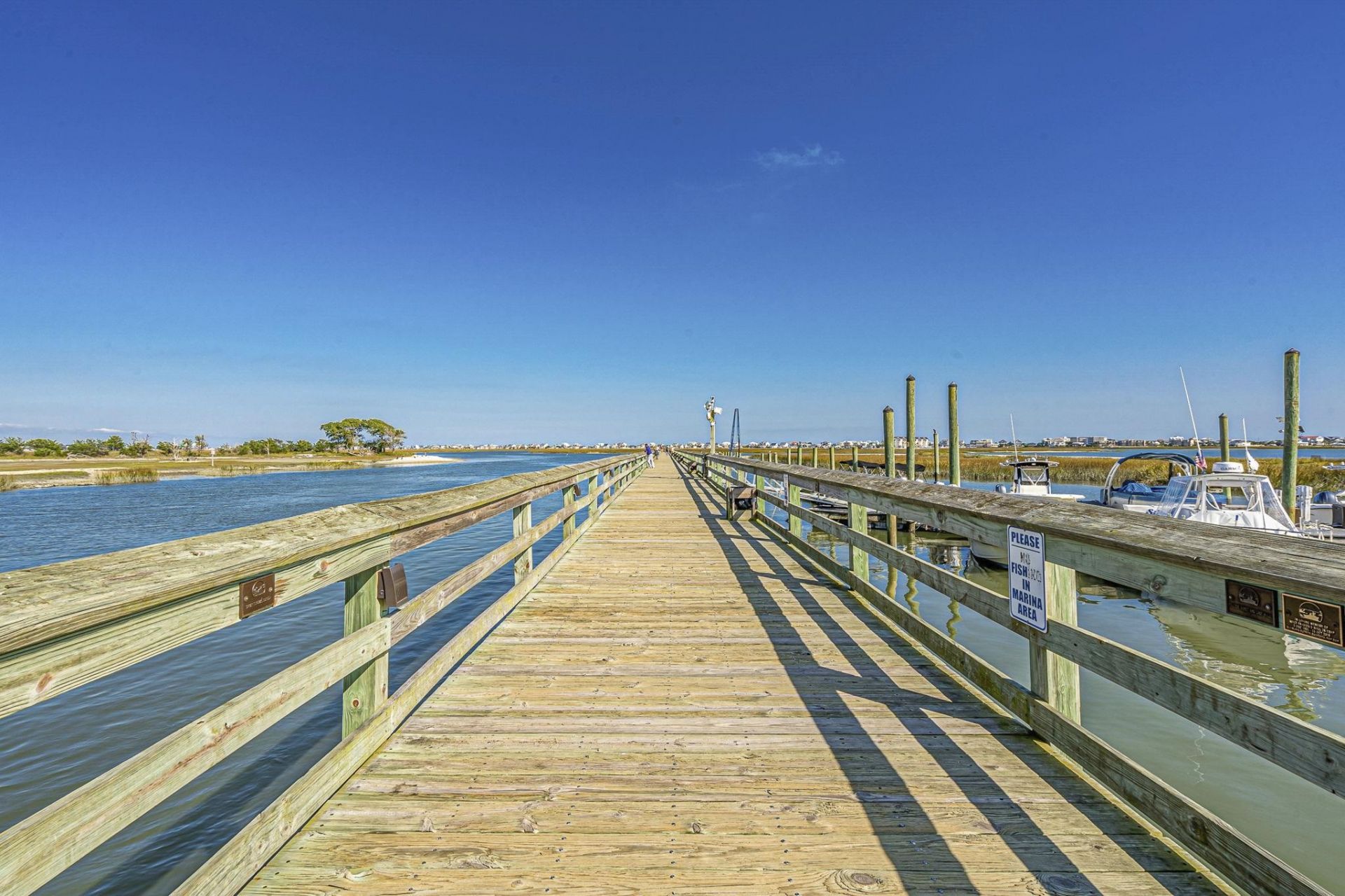 1177 Kiawah Loop  Photo 66