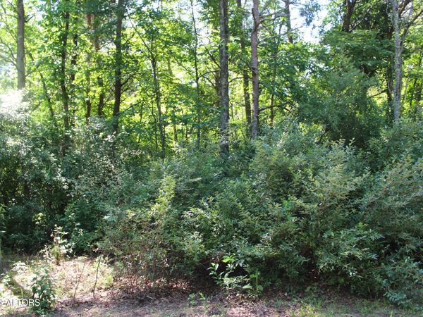 Goney Rd, Grimsley, TN 38565