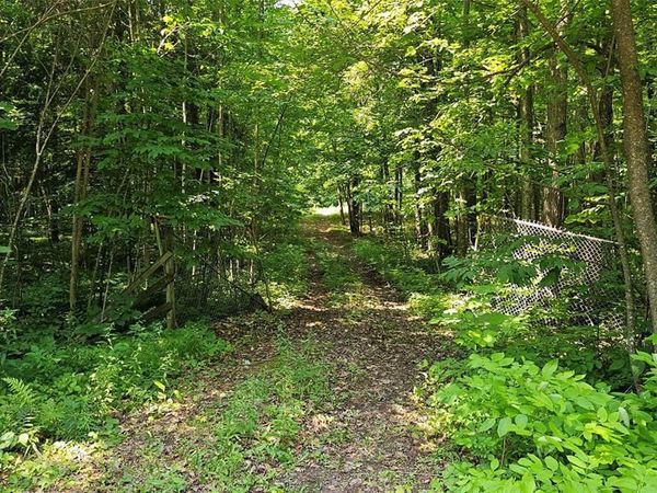4687 Valesh Road, Couderay, WI 54828