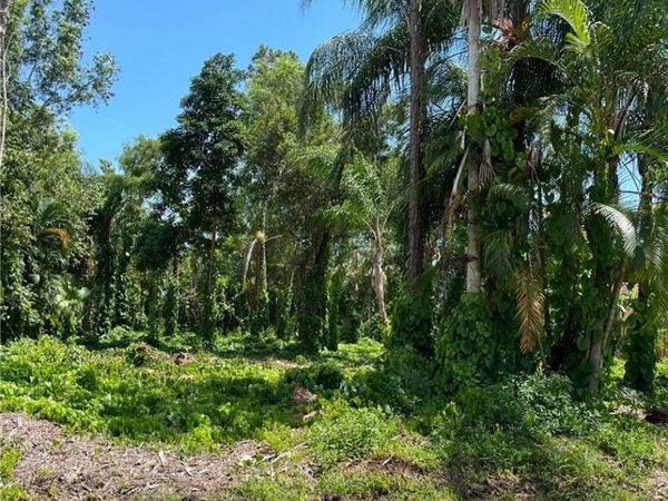 335 Porter ST, NAPLES, FL 34113