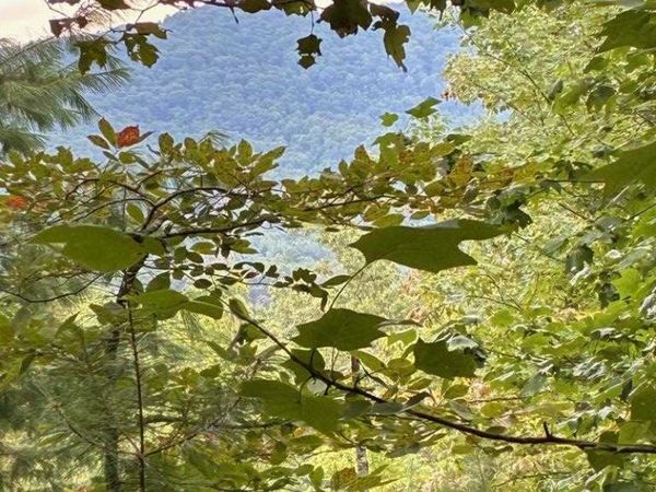 50+/- Pickelsimer Road, Morganton, GA 30560
