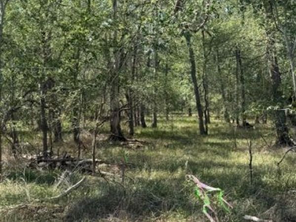 421 Kerr Avenue , Sutherland Springs, TX 78161