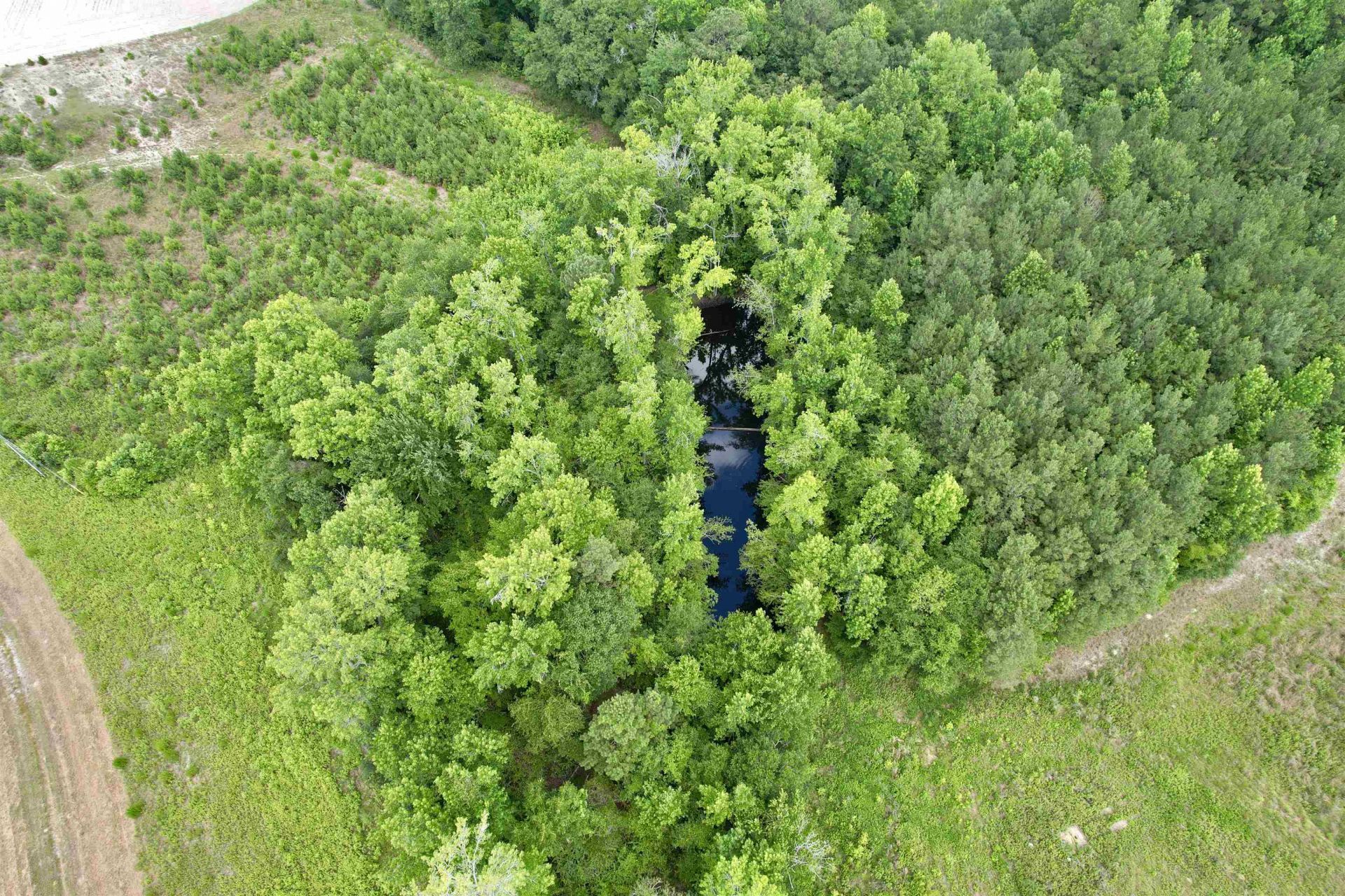 0 Powell Rd. Photo 52