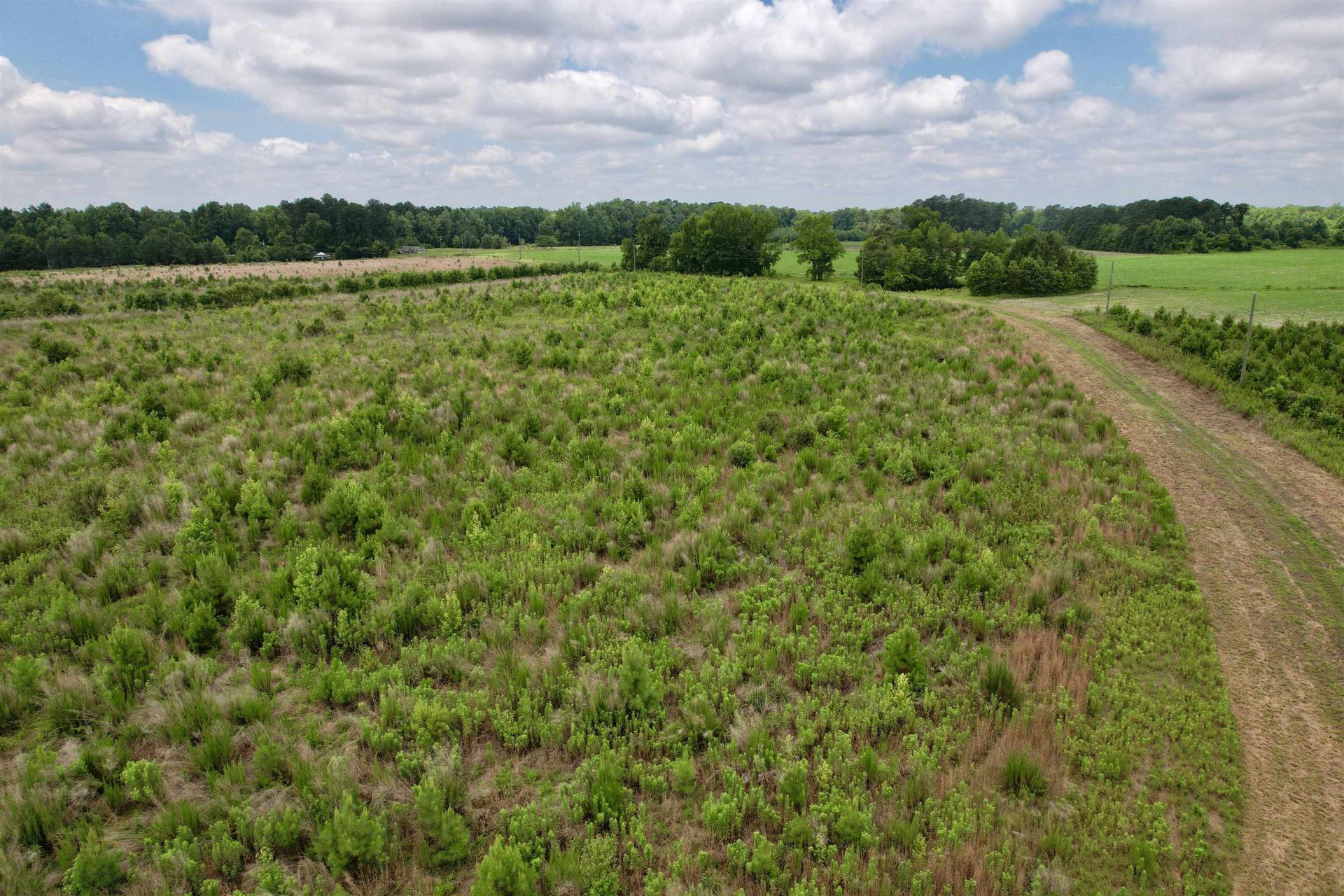 0 Powell Rd. Photo 55