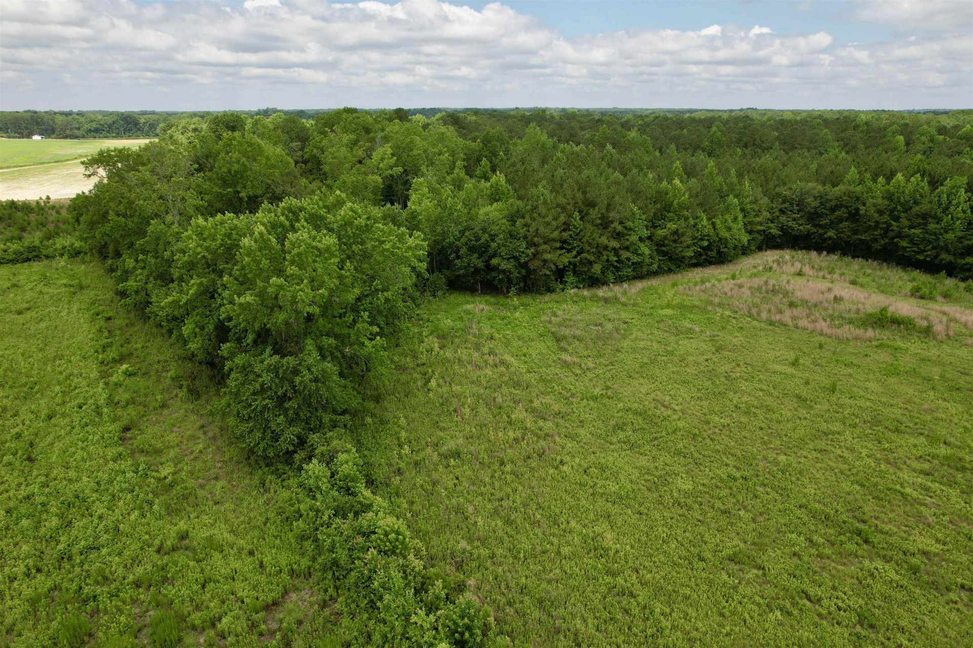 0 Powell Rd. Photo 61