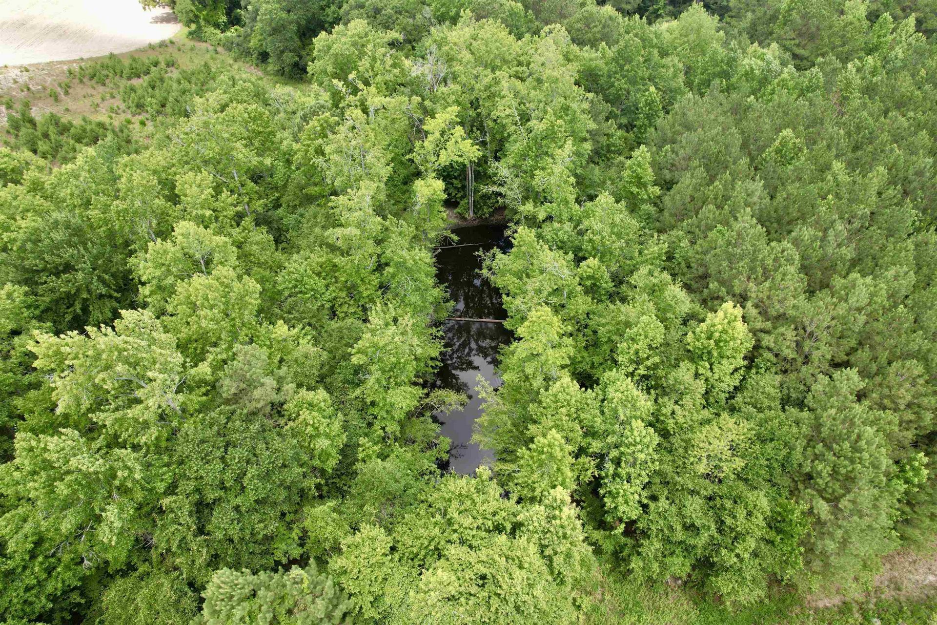 0 Powell Rd. Photo 62