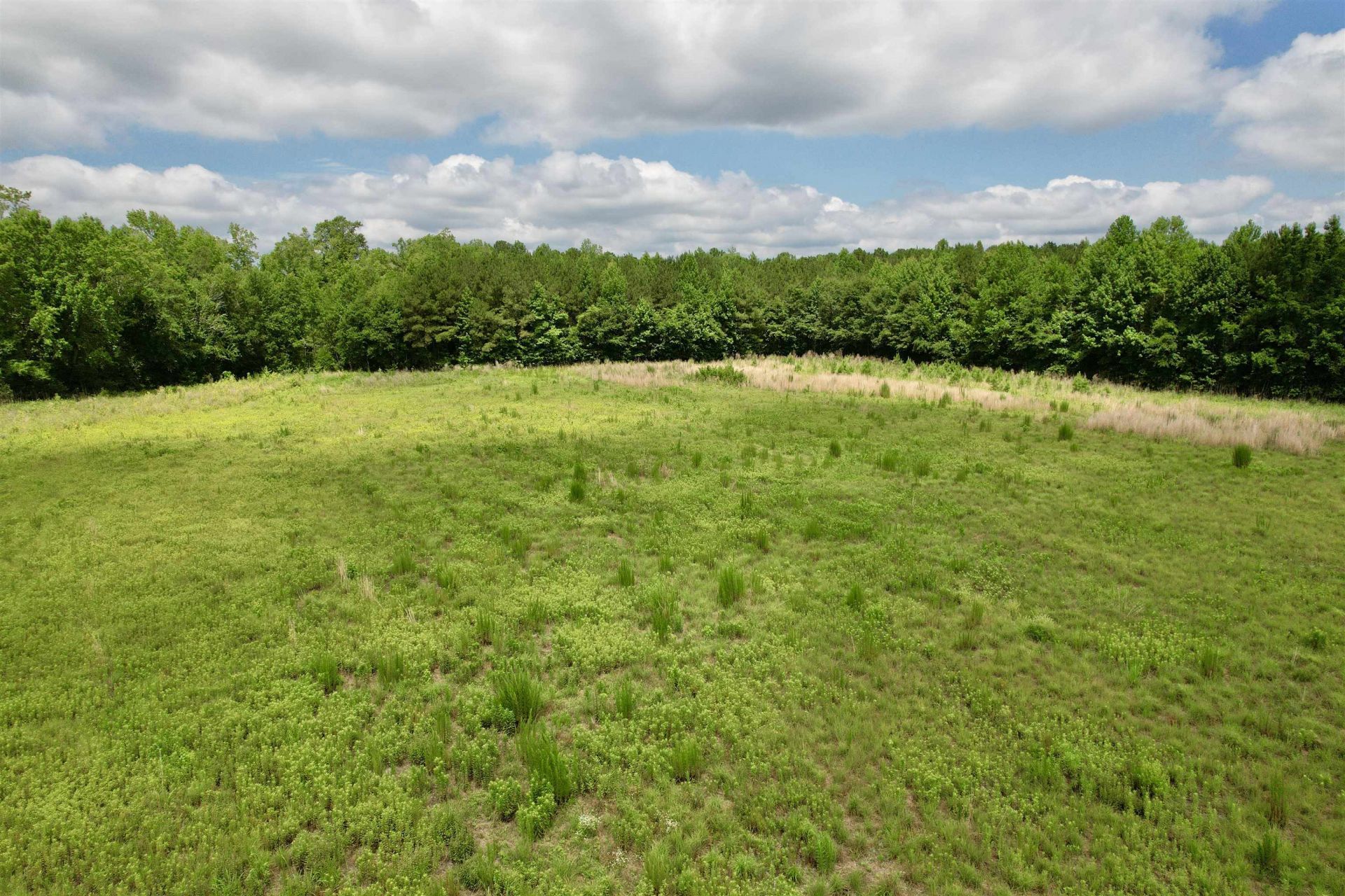 0 Powell Rd. Photo 63