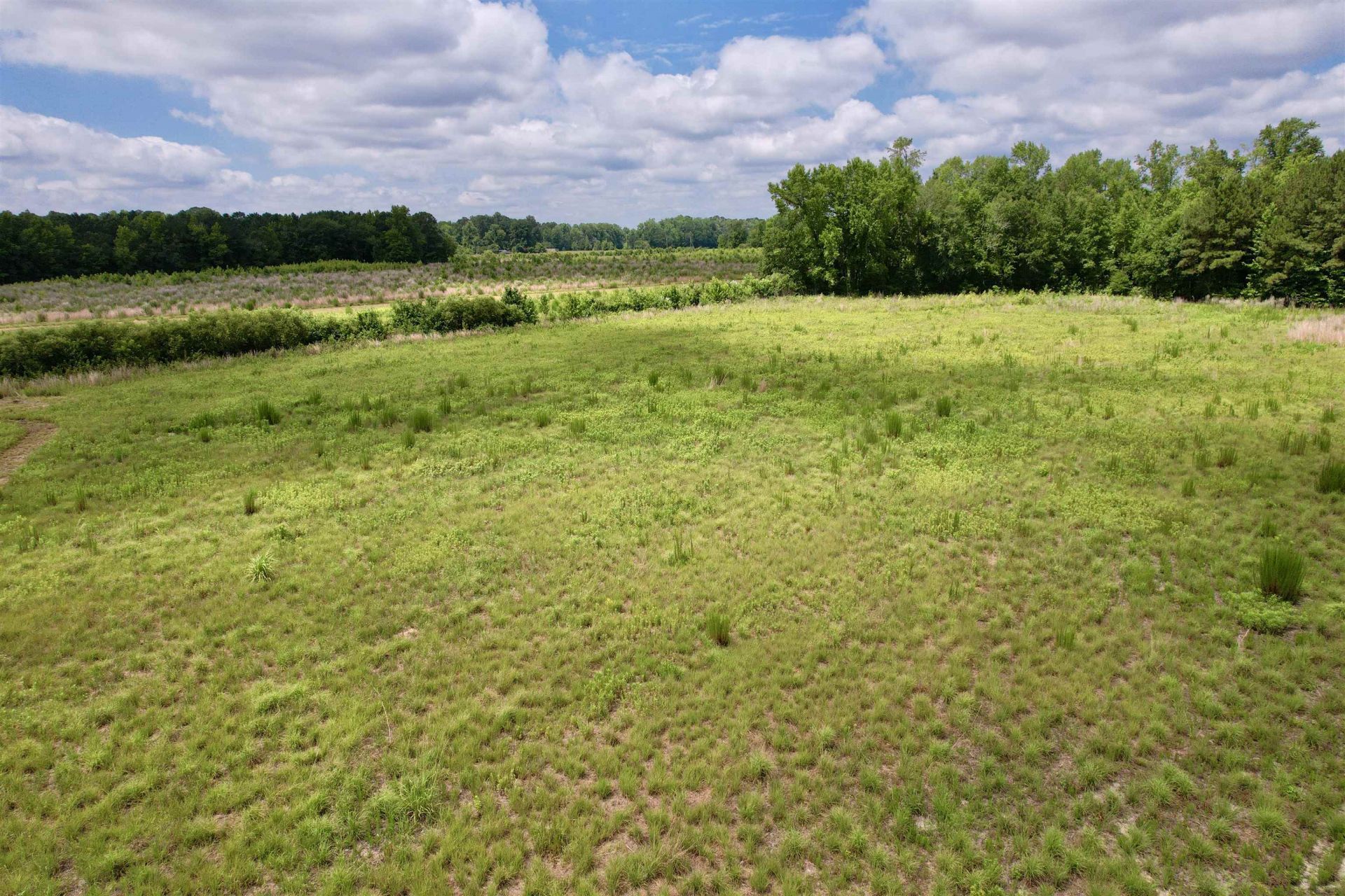 0 Powell Rd. Photo 67