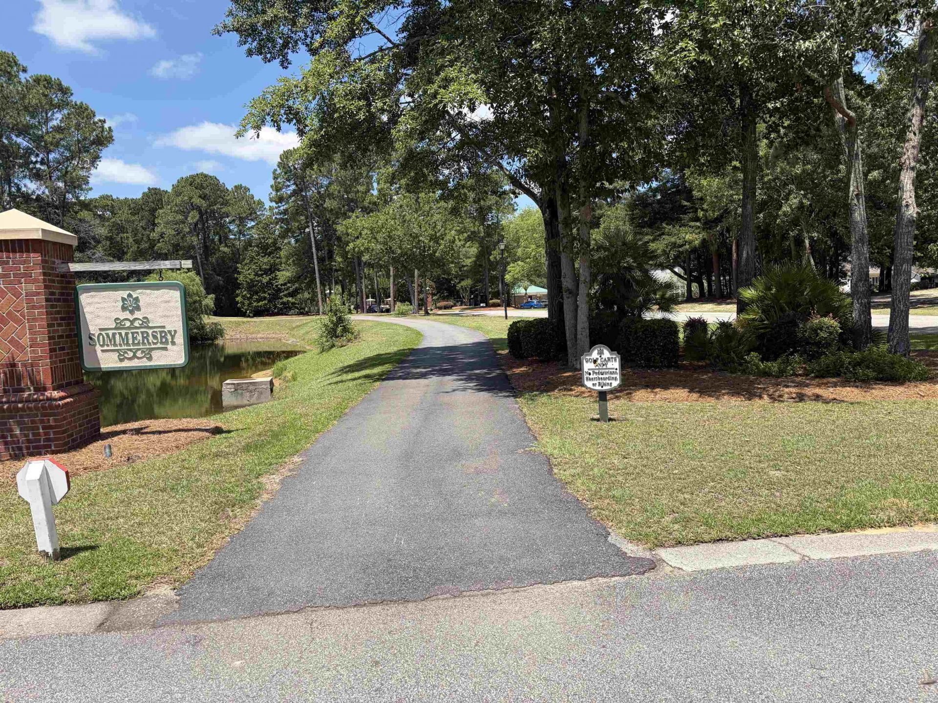 4502 Firethorne Dr. Photo 51