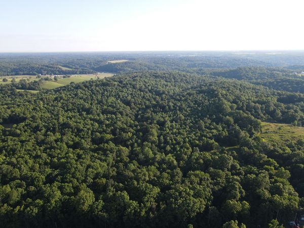0 Lylewood Road , Woodlawn, TN 37191