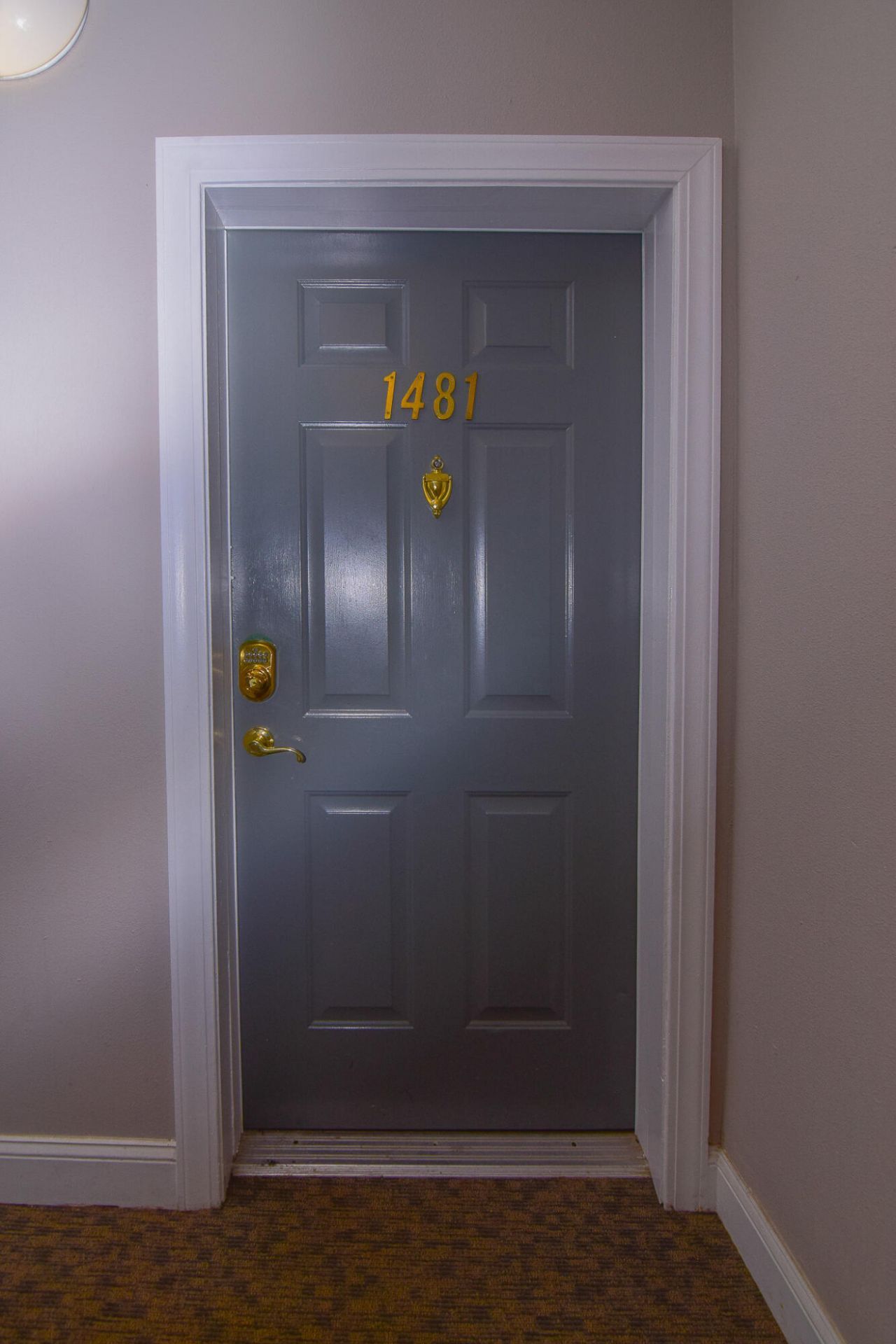 1481 Cambridge Lakes Drive Photo 19