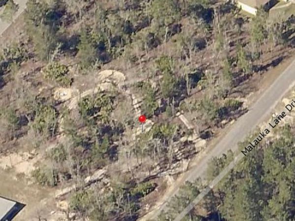 00 MALAUKA TRAIL DRIVE , OCKLAWAHA, FL 32179