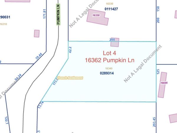 16362 Pumpkin, French Settlement, LA 70733