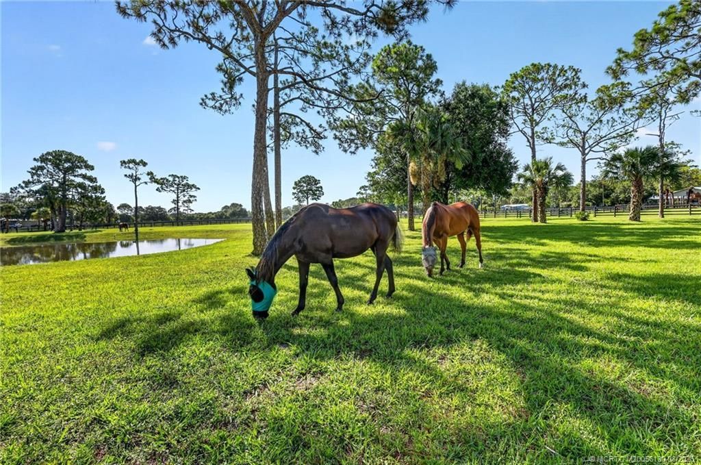 2602 SW 64th Court, Palm City, FL 34990 Photo