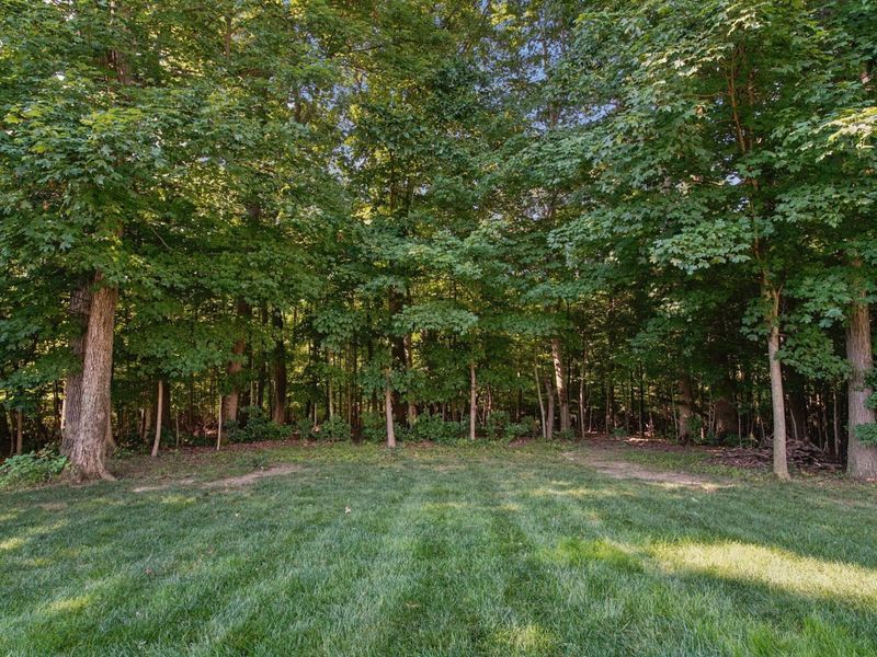 2616 Bold Venture Drive, Lewis Center, OH 43035 Photo 47