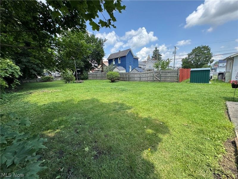 209 W Washington Street, Lisbon, OH 44432 Photo 46