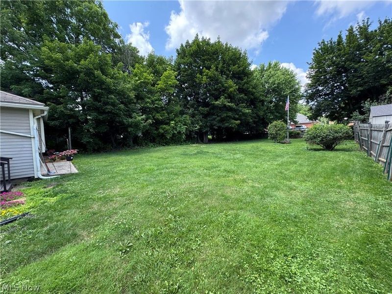 209 W Washington Street, Lisbon, OH 44432 Photo 47