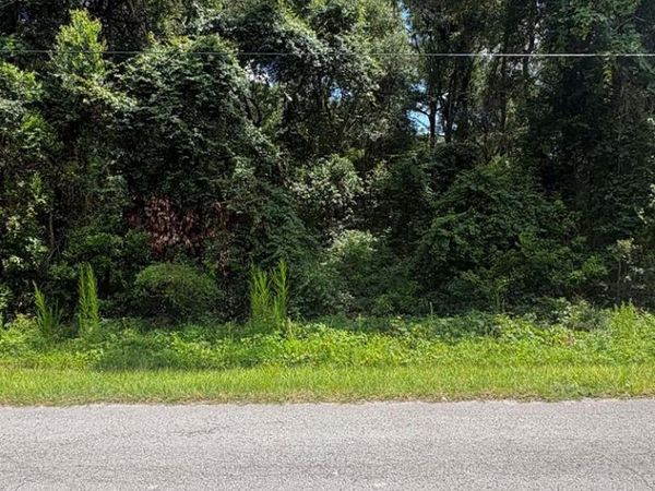 0000 NW 166th St, Trenton, FL 32693