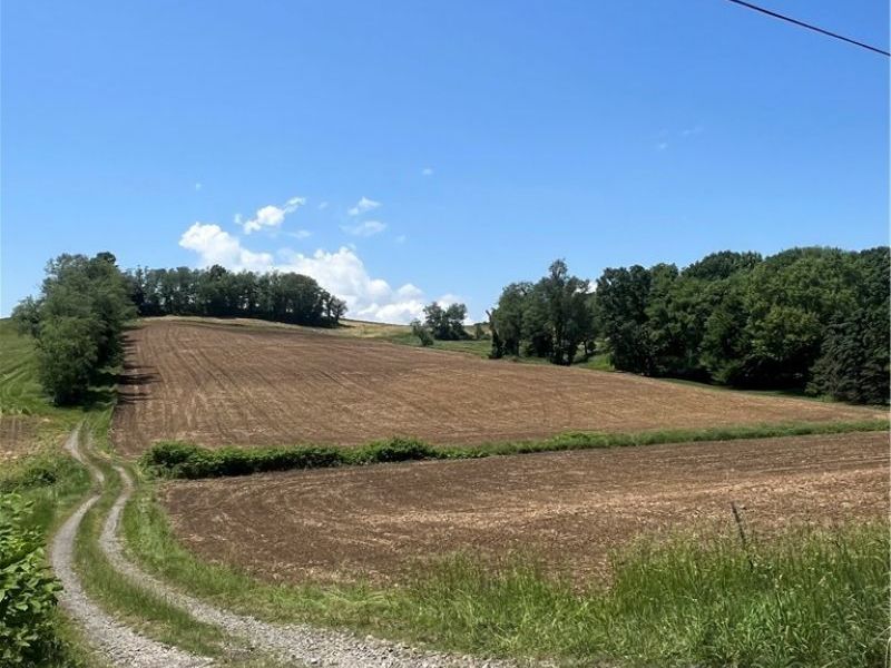 Blacksnake Hill Road, Dover, OH 44622 Photo 3
