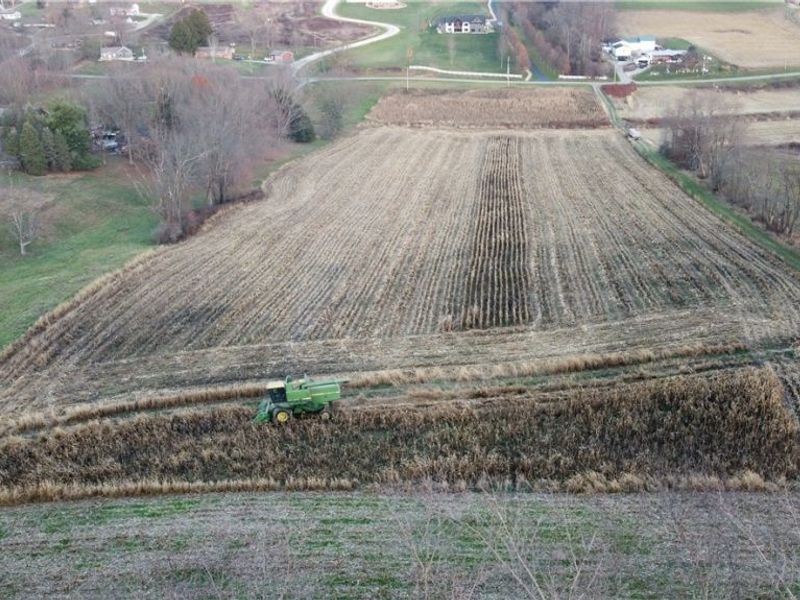 Blacksnake Hill Road, Dover, OH 44622 Photo 5
