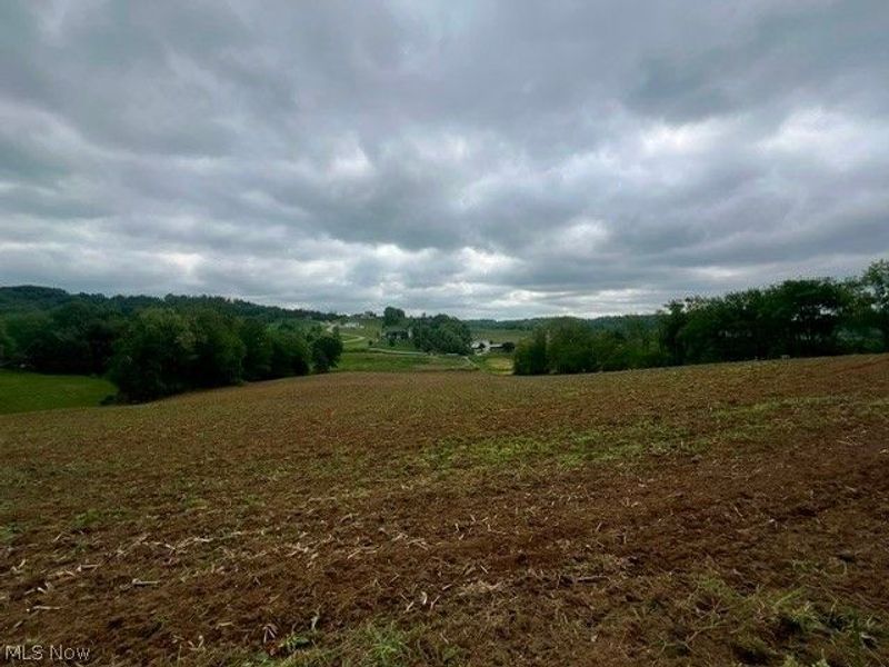 Blacksnake Hill Road, Dover, OH 44622 Photo 6