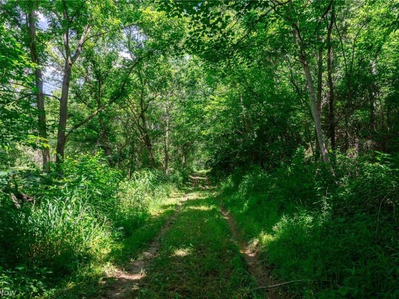 Clay Pike Road, Chandlersville, OH 43727 Photo 16