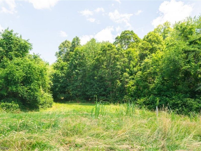 Clay Pike Road, Chandlersville, OH 43727 Photo 20