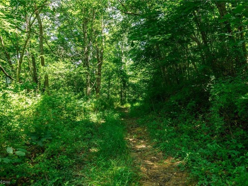 Clay Pike Road, Chandlersville, OH 43727 Photo 26