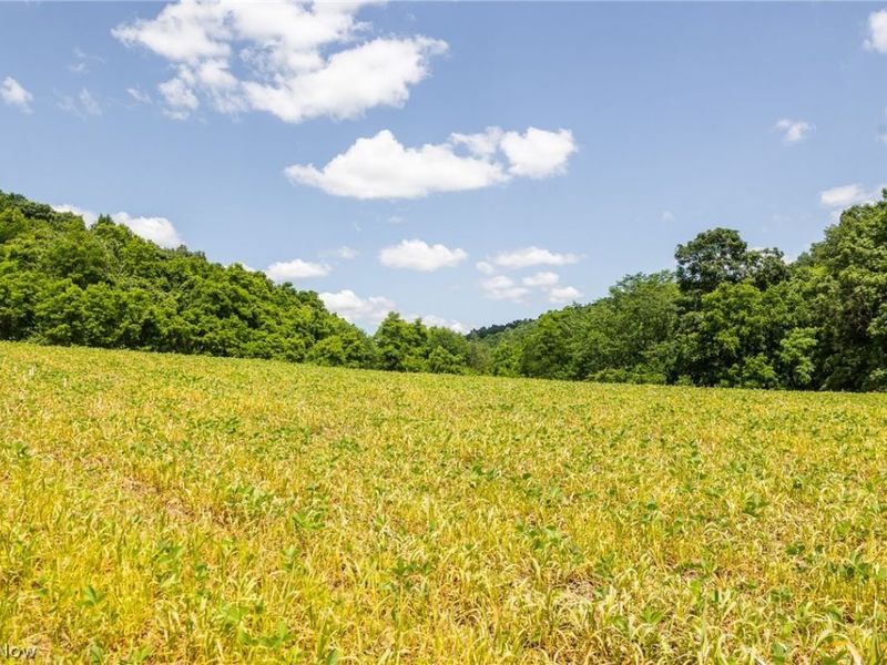 Clay Pike Road, Chandlersville, OH 43727 Photo 30