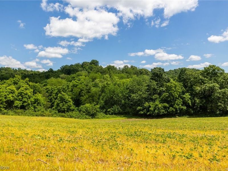 Clay Pike Road, Chandlersville, OH 43727 Photo 31