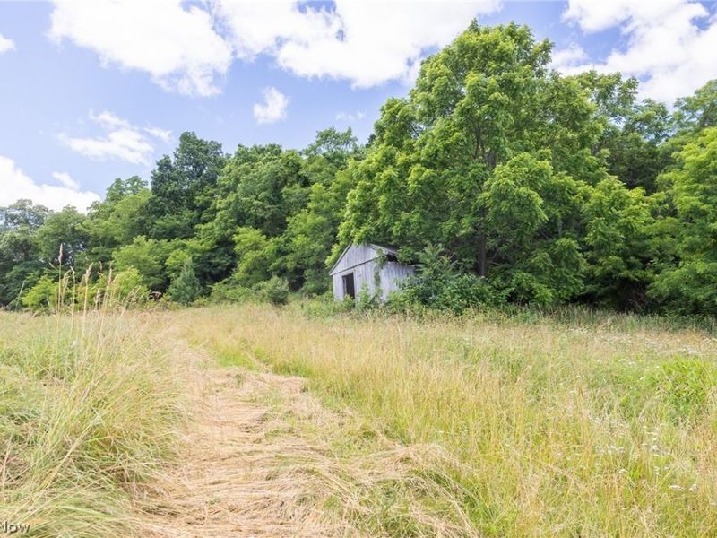 Clay Pike Road, Chandlersville, OH 43727 Photo 32