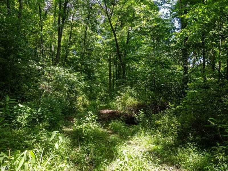 Clay Pike Road, Chandlersville, OH 43727 Photo 34