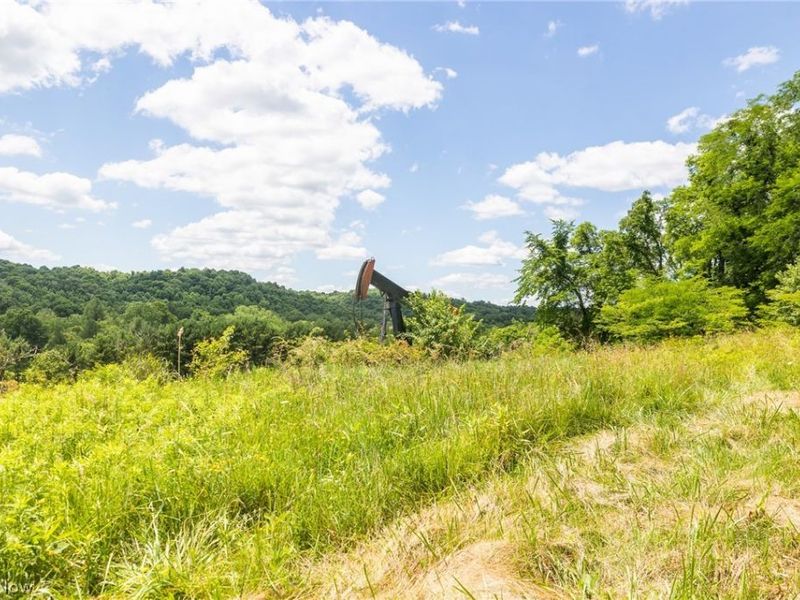 Clay Pike Road, Chandlersville, OH 43727 Photo 35