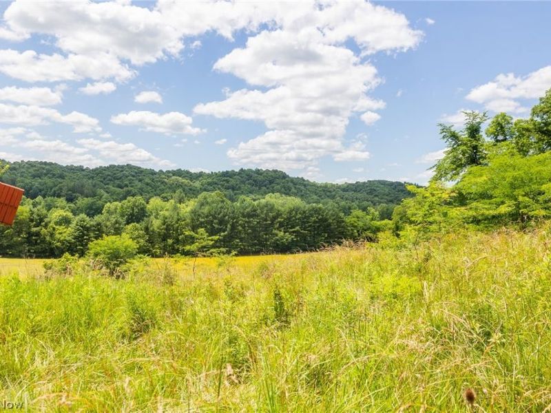 Clay Pike Road, Chandlersville, OH 43727 Photo 36