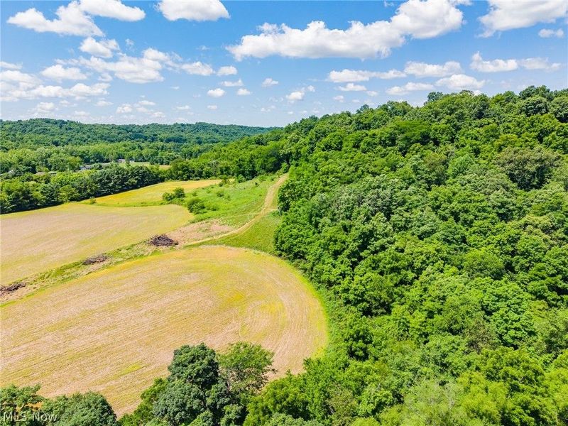 Clay Pike Road, Chandlersville, OH 43727 Photo 50