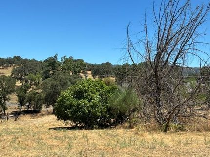 723 Saint Charles St, San Andreas, CA 95249 Photo