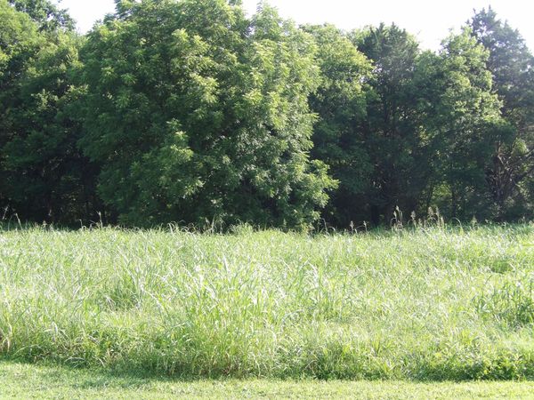 000 Scenic Hollow Drive, Dunlap, TN 37327