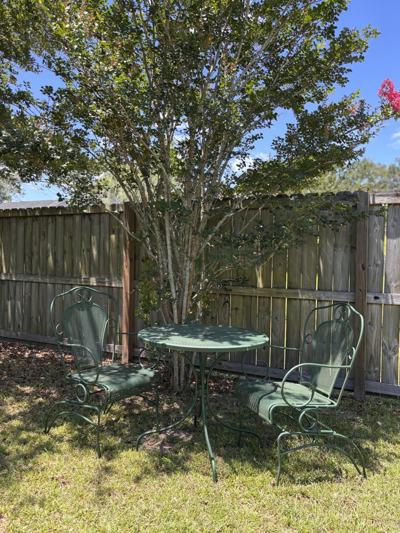 231 Donatella Drive Photo 19