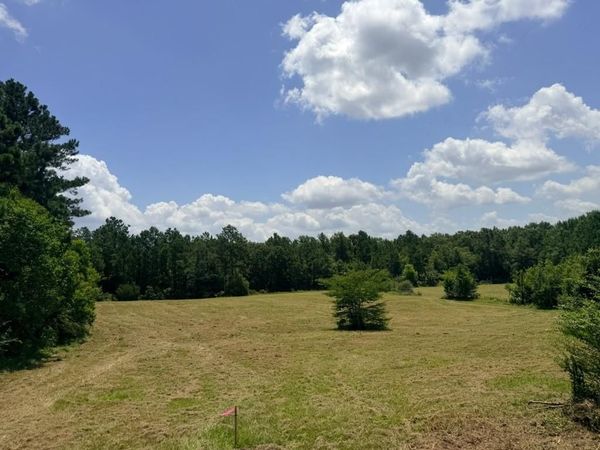 1916 BAYOU MARIA Road, Pineville, LA 71360