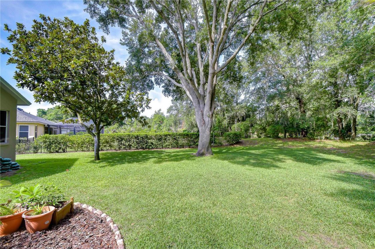 4916 Willow Ridge Terrace, Valrico, FL 33596 Photo
