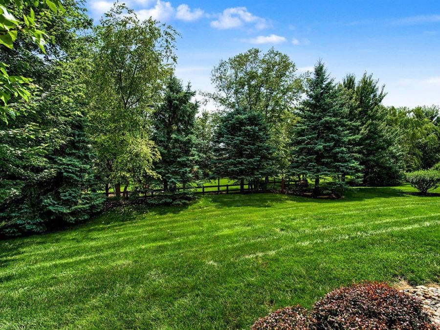 Property Image 68