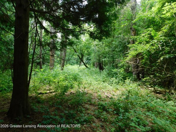 0 Robson Road, Bath, MI 48808
