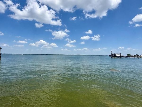 Lot 30 Marina Point , Streetman, TX 75859