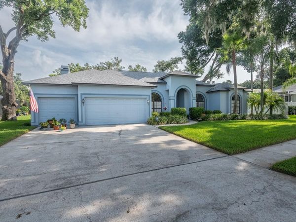 4704 STONE HOLLOW COURT , VALRICO, FL 33596