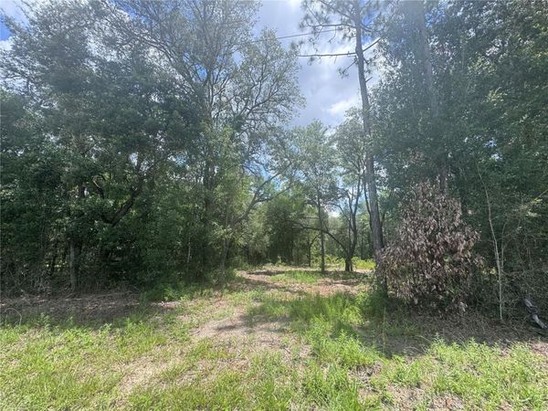 751 NE 139TH AVENUE , WILLISTON, FL 32696
