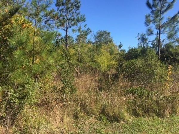 TBA BONNIE Lane , Covington, LA 70433
