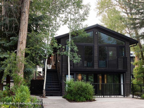 950 E Durant Avenue, Unit 4, Aspen, CO 81611